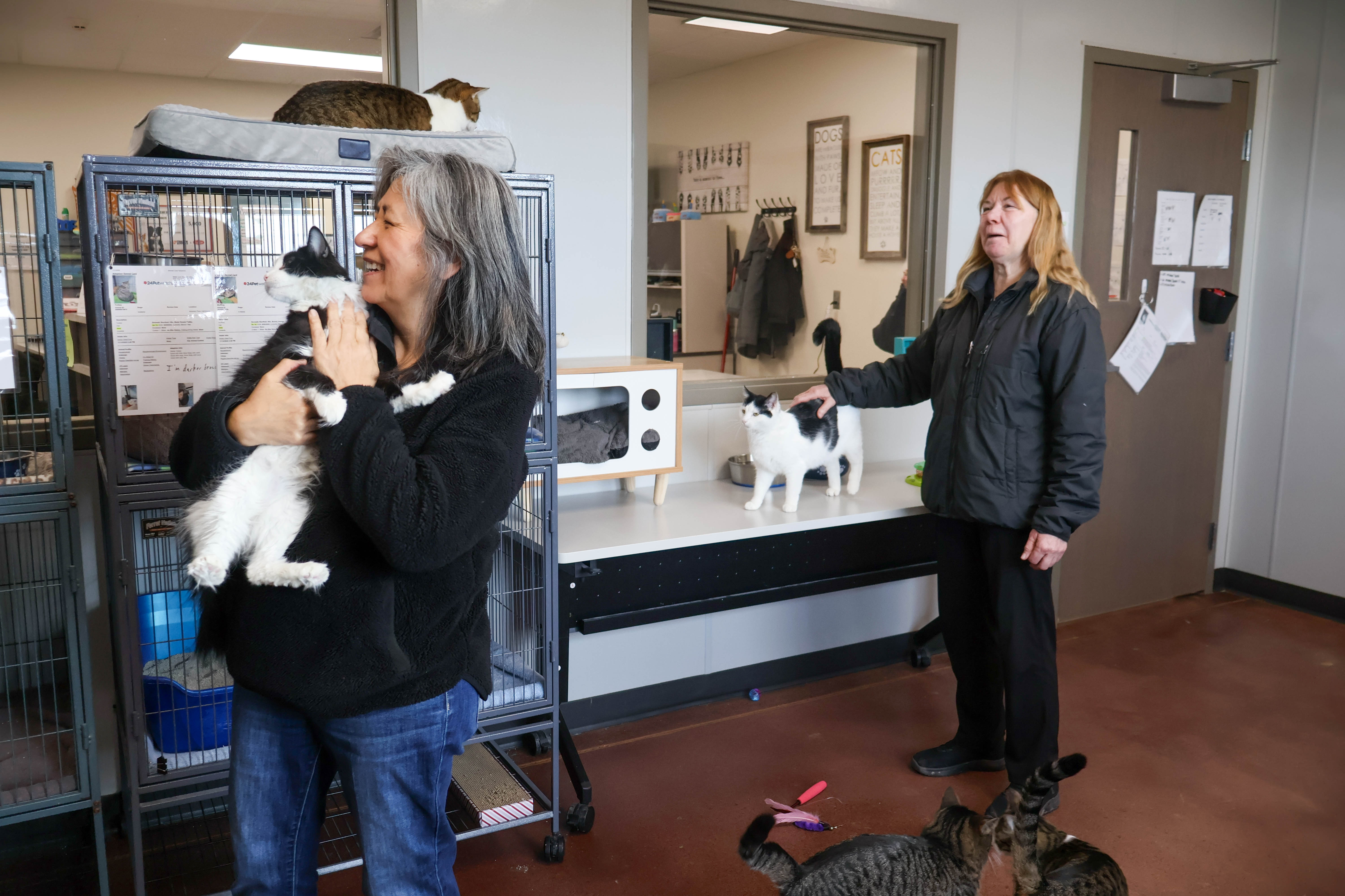Board member Anita holds a cat and board member Jody pet a cat