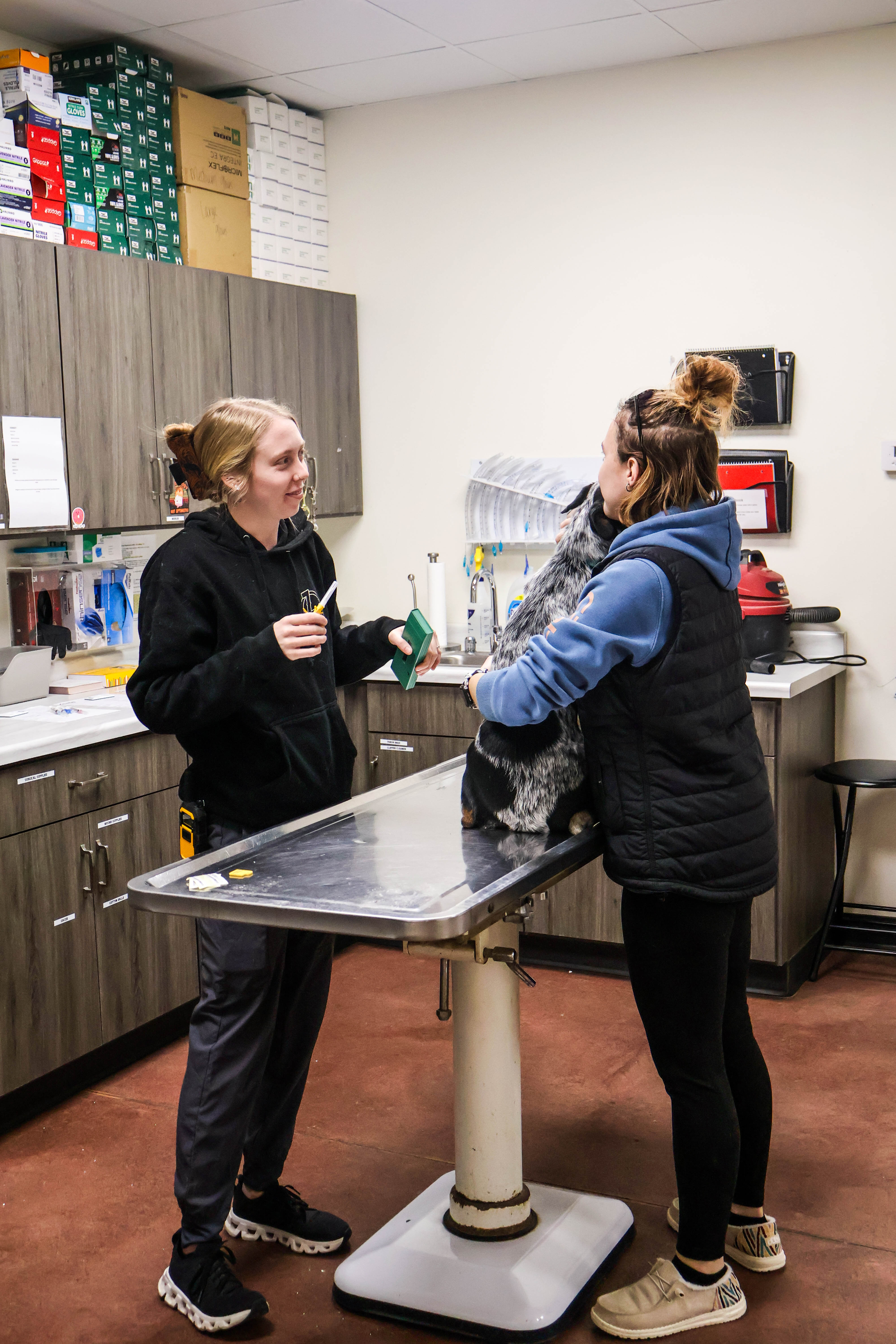 One shelter worker holds a dog on the examination table while the other worker prepares the treatment