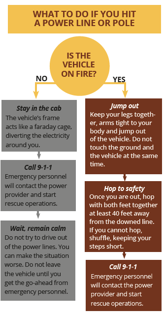 Graphic explaining what to do if you hit a power line or pole.